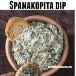 Easy Spanakopita Dip