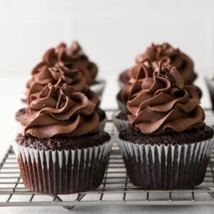 Vegan Double Chocolate Cupcakes