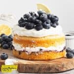 Lemon Blueberry Cake For 2