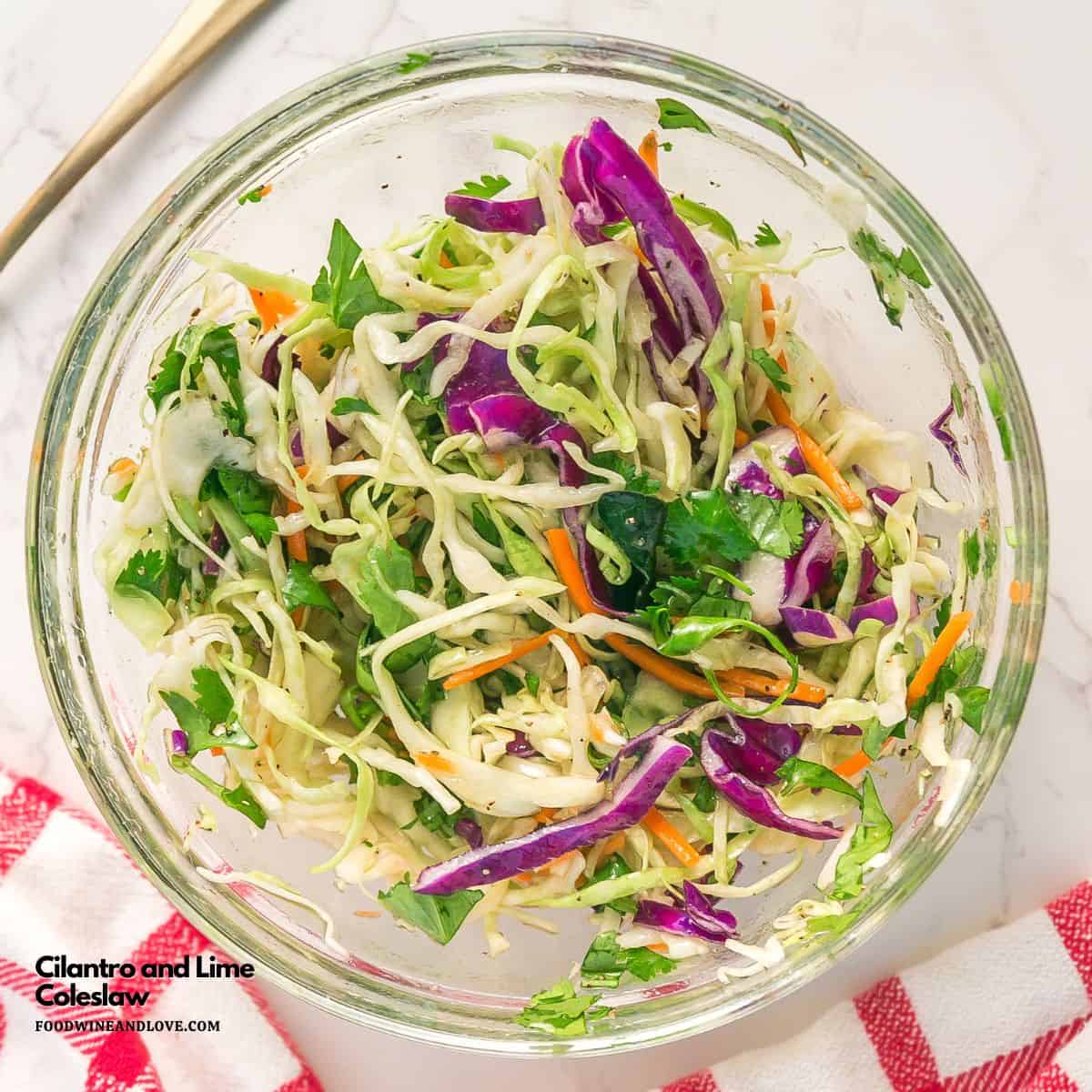 Cilantro and Lime Coleslaw, a simple five minute vegetarian  coleslaw recipe made in about five minutes with basic ingredients.