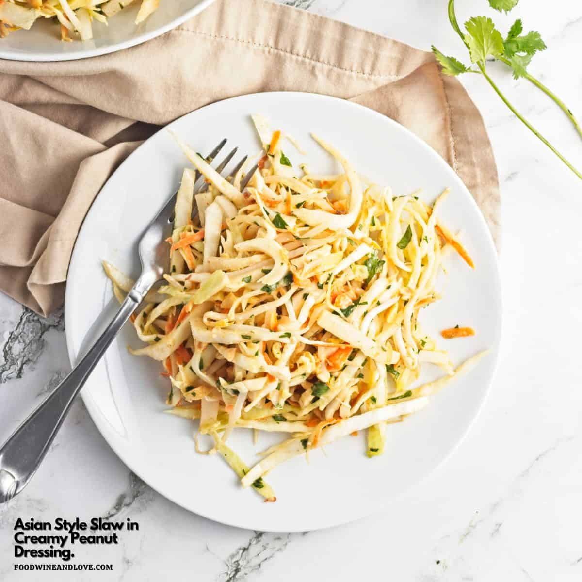 Asian Style Slaw in Creamy Peanut Dressing,a crunchy and refreshing salad recipe made with fresh vegetables tossed in a creamy vegan dressing. Asian Style Slaw in Creamy Peanut Dressing,a crunchy and refreshing salad recipe made with fresh vegetables tossed in a creamy vegan dressing.