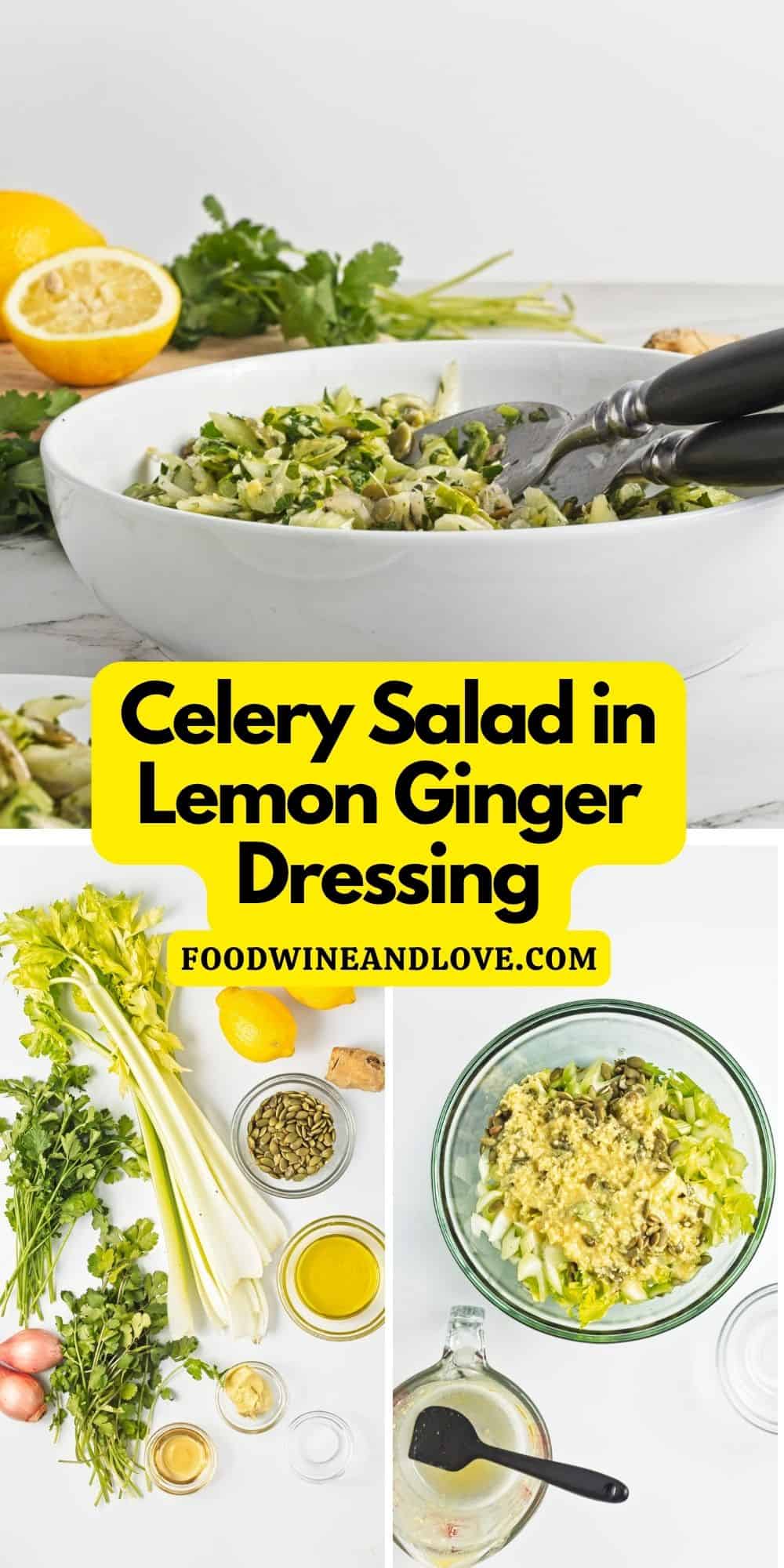 Celery Salad in Lemon Ginger Dressing, a simple light and refreshing vegan recipe made with crisp celery tossed in a savory dressing.