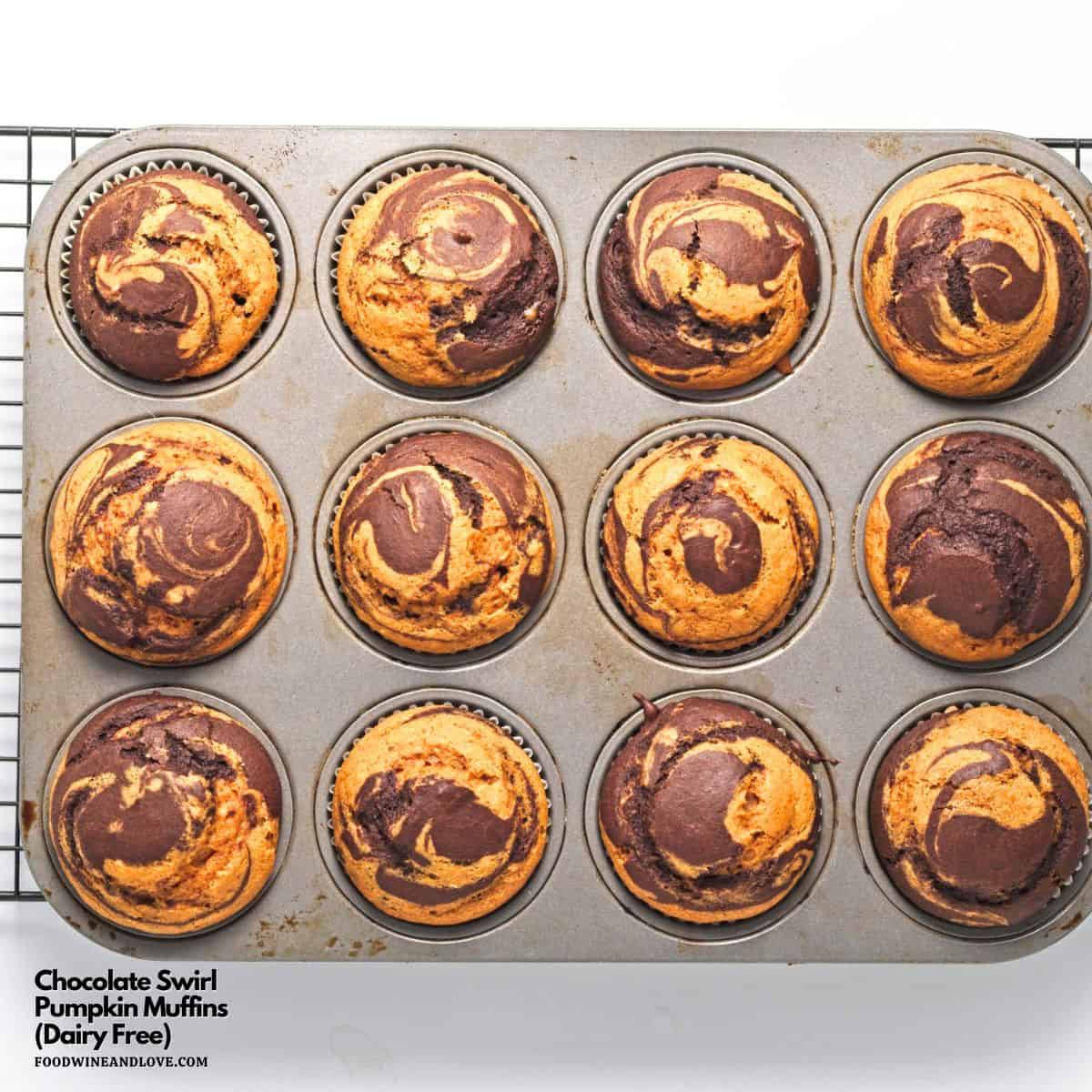 Chocolate Swirl Pumpkin Muffins (Dairy Free), a simple and delicious vegan recipe made with pureed pumpkin and oat milk