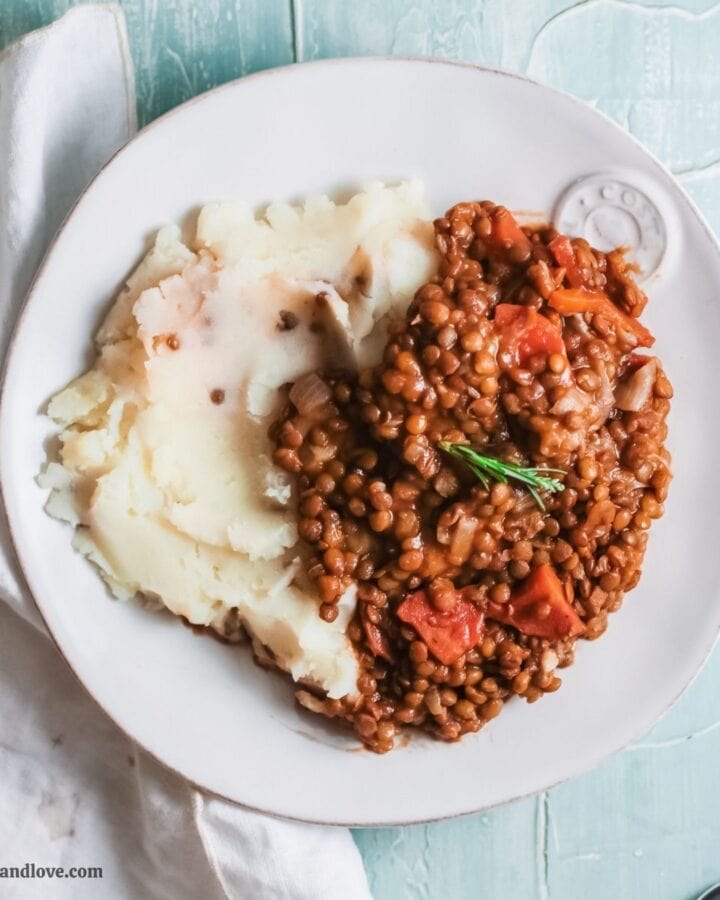 Instant Pot Meatless Lentil Stew