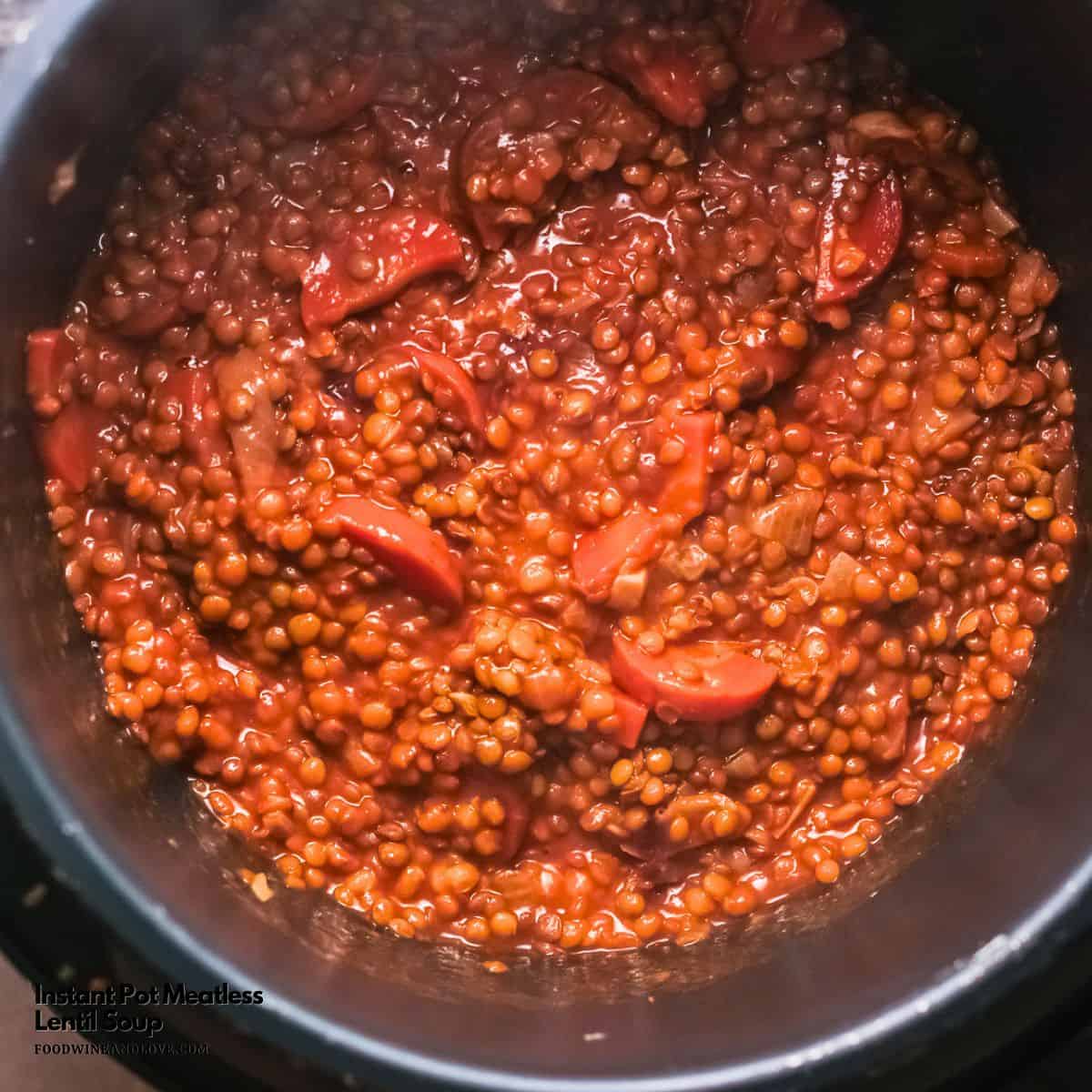 Instant Pot Meatless Lentil Stew, an easy vegan and plant based recipe for a delicious, hearty, and comforting stew . Instant Pot Meatless Lentil Stew, an easy vegan and plant based recipe for a delicious, hearty, and comforting stew .