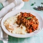 Instant Pot Meatless Lentil Stew