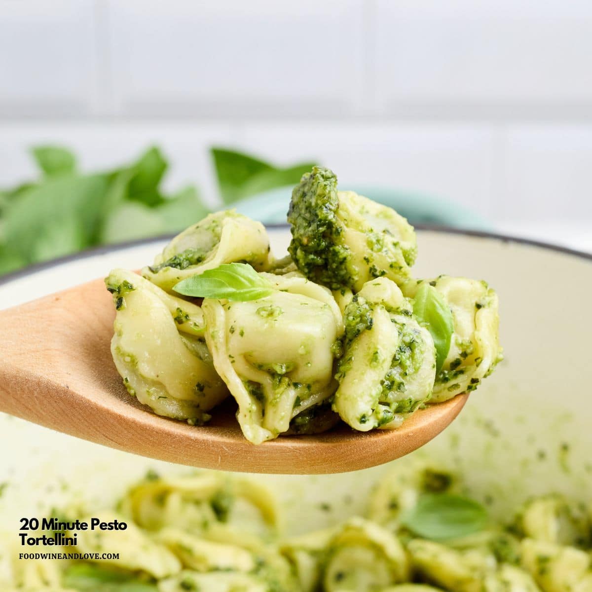 20 Minute Pesto Tortellini is a quick and simple recipe featuring pasta tossed in a homemade basil parmesan pesto sauce. 20 Minute Pesto Tortellini is a quick and simple recipe featuring pasta tossed in a homemade basil parmesan pesto sauce.