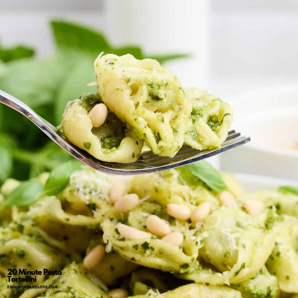 20 Minute Pesto Tortellini is a quick and simple recipe featuring pasta tossed in a homemade basil parmesan pesto sauce. 20 Minute Pesto Tortellini is a quick and simple recipe featuring pasta tossed in a homemade basil parmesan pesto sauce.