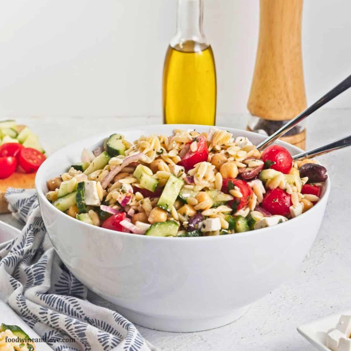 Greek Pasta Salad with Lemon Vinaigrette, an easy recipe for a vibrant salad tossed in a lemon vinaigrette—perfect for a light meal. Greek Pasta Salad with Lemon Vinaigrette, an easy recipe for a vibrant salad tossed in a lemon vinaigrette—perfect for a light meal.