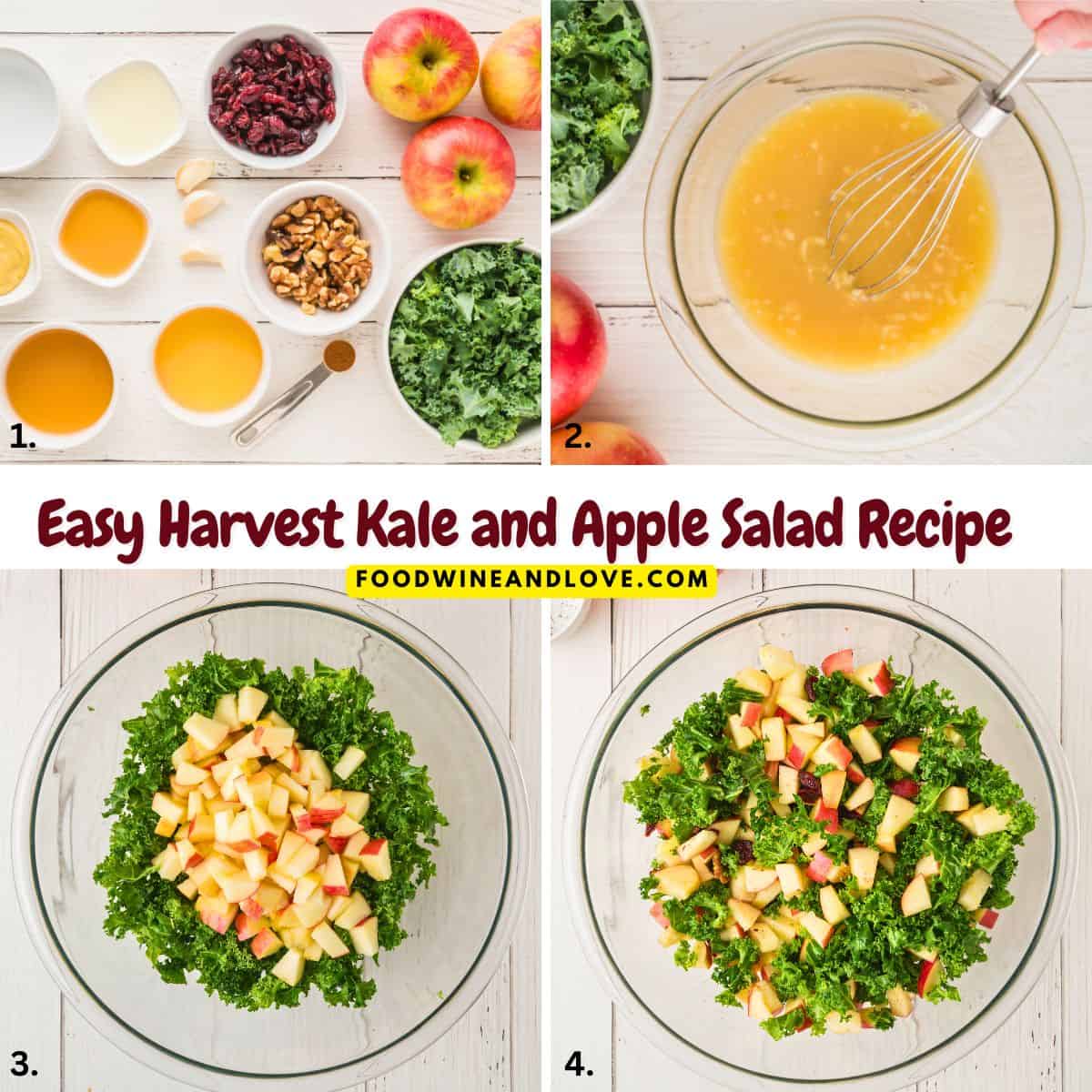 Easy Harvest Kale and Apple Salad is made with healthy kale, apples, cranberries, and walnuts, tossed in an apple cider vinaigrette dressing. Easy Harvest Kale and Apple Salad is made with healthy kale, apples, cranberries, and walnuts, tossed in an apple cider vinaigrette dressing.