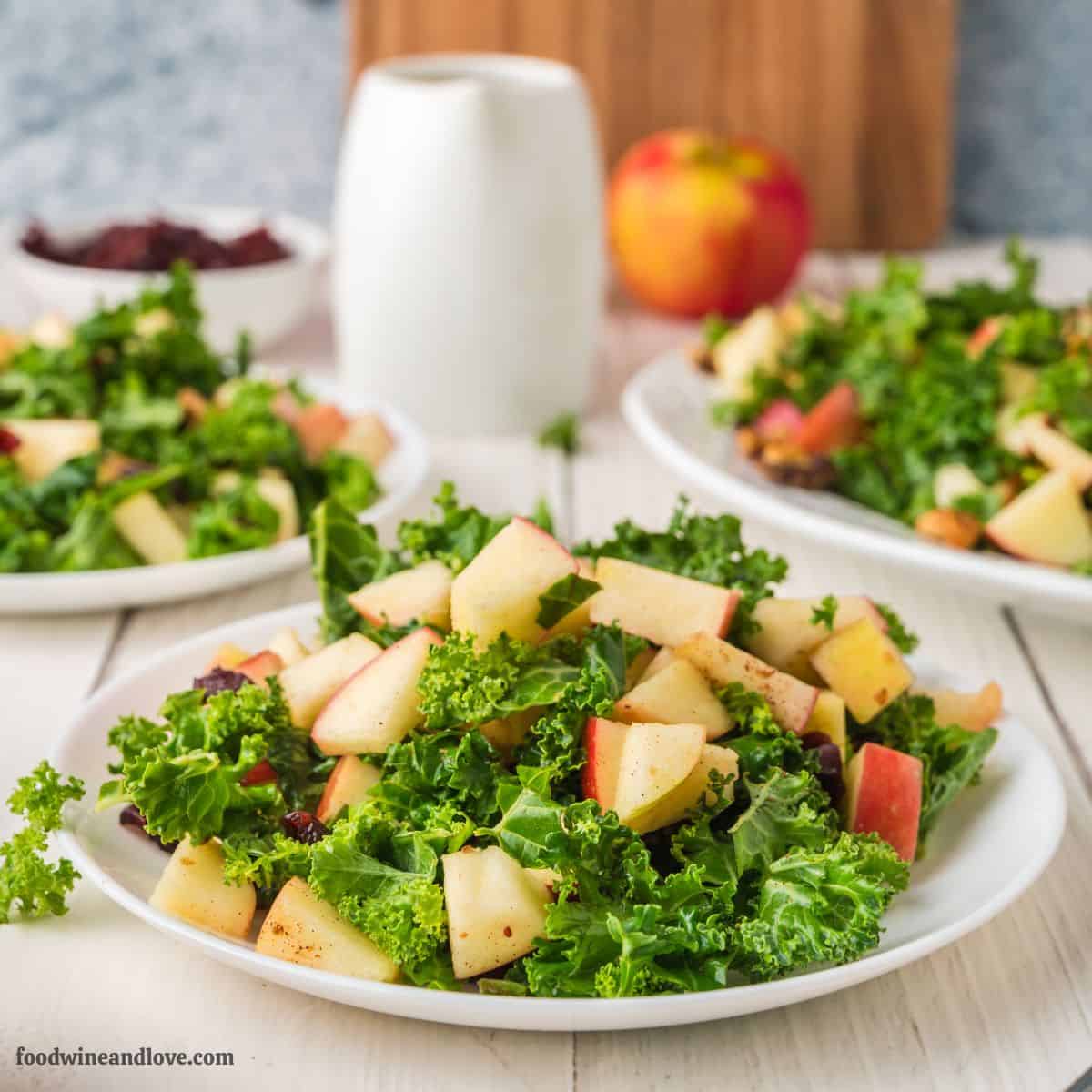 Easy Harvest Kale and Apple Salad is made with healthy kale, apples, cranberries, and walnuts, tossed in an apple cider vinaigrette dressing. Easy Harvest Kale and Apple Salad is made with healthy kale, apples, cranberries, and walnuts, tossed in an apple cider vinaigrette dressing.