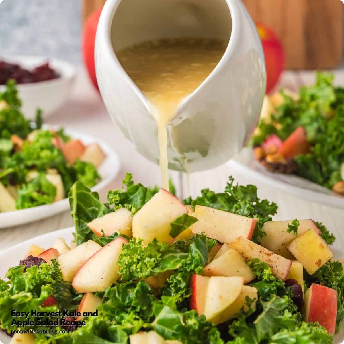 Easy Harvest Kale and Apple Salad is made with healthy kale, apples, cranberries, and walnuts, tossed in an apple cider vinaigrette dressing. Easy Harvest Kale and Apple Salad is made with healthy kale, apples, cranberries, and walnuts, tossed in an apple cider vinaigrette dressing.