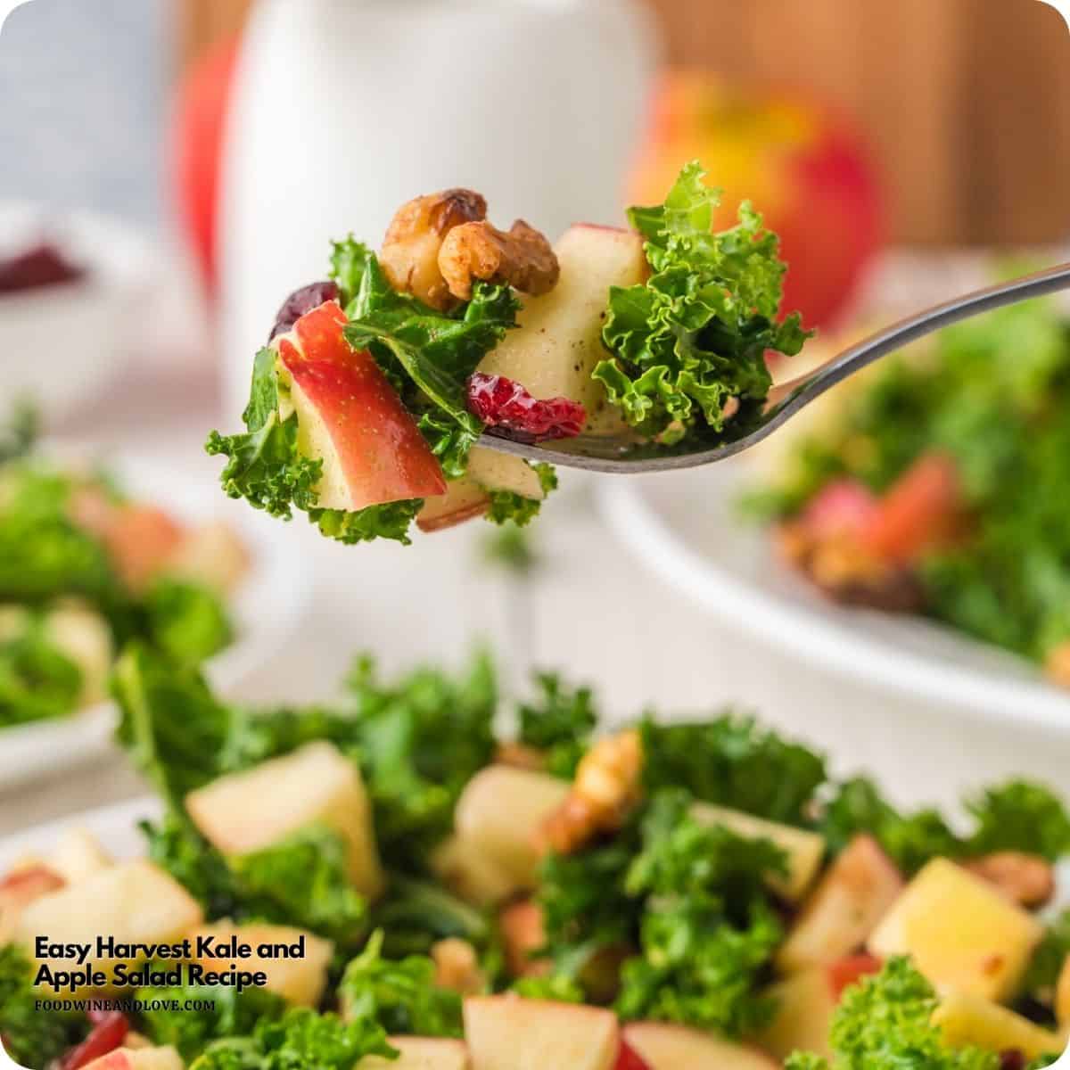 Easy Harvest Kale and Apple Salad is made with healthy kale, apples, cranberries, and walnuts, tossed in an apple cider vinaigrette dressing. Easy Harvest Kale and Apple Salad is made with healthy kale, apples, cranberries, and walnuts, tossed in an apple cider vinaigrette dressing.