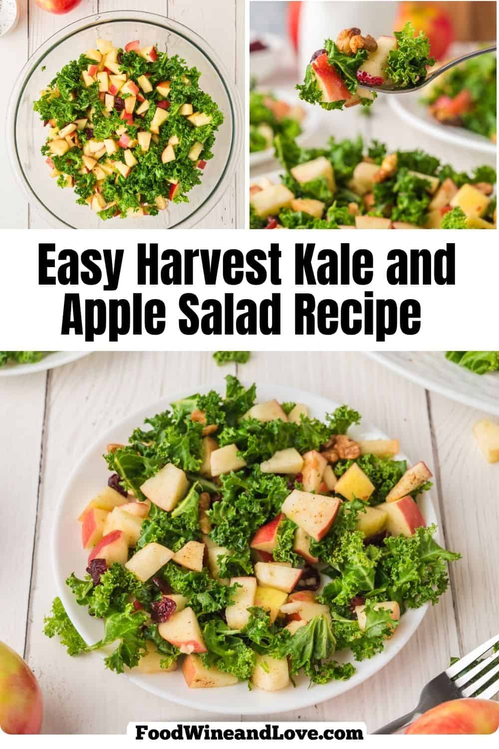 Easy Harvest Kale and Apple Salad is made with healthy kale, apples, cranberries, and walnuts, tossed in an apple cider vinaigrette dressing. Easy Harvest Kale and Apple Salad is made with healthy kale, apples, cranberries, and walnuts, tossed in an apple cider vinaigrette dressing.