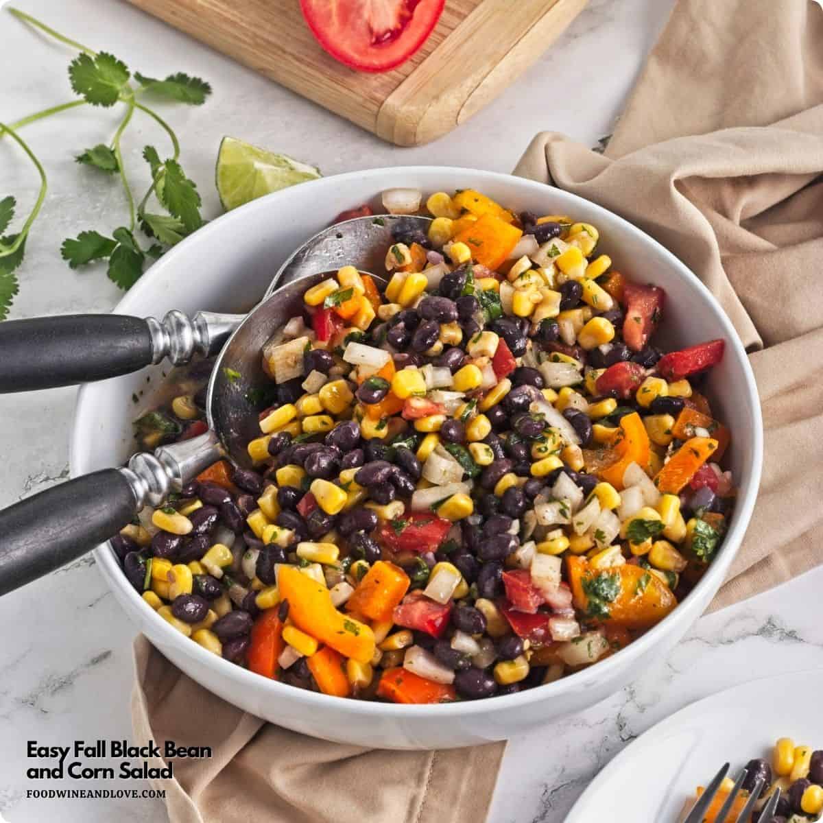 Easy Fall Black Bean and Corn Salad is packed with crisp bell peppers, sweet corn, and black beans. Perfect for potlucks and fall gatherings. Easy Fall Black Bean and Corn Salad is packed with crisp bell peppers, sweet corn, and black beans. Perfect for potlucks and fall gatherings.